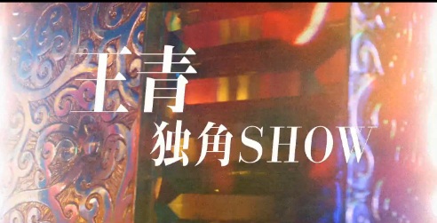 ����SHOW - ����