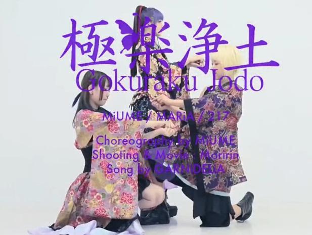 ���־���-GARNIDELIA