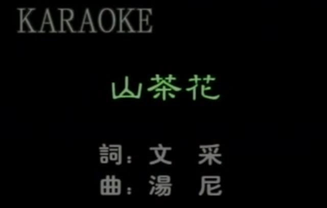 ɽ�軨 - ������
